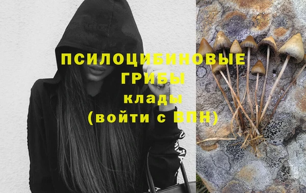 гашиш Дмитриев