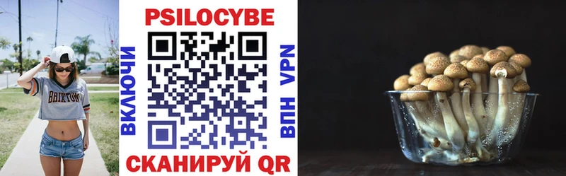 Галлюциногенные грибы мицелий  кракен ТОР  Могоча 